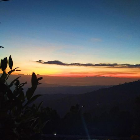 Puri Sunset Homestay Munduk  Exterior photo