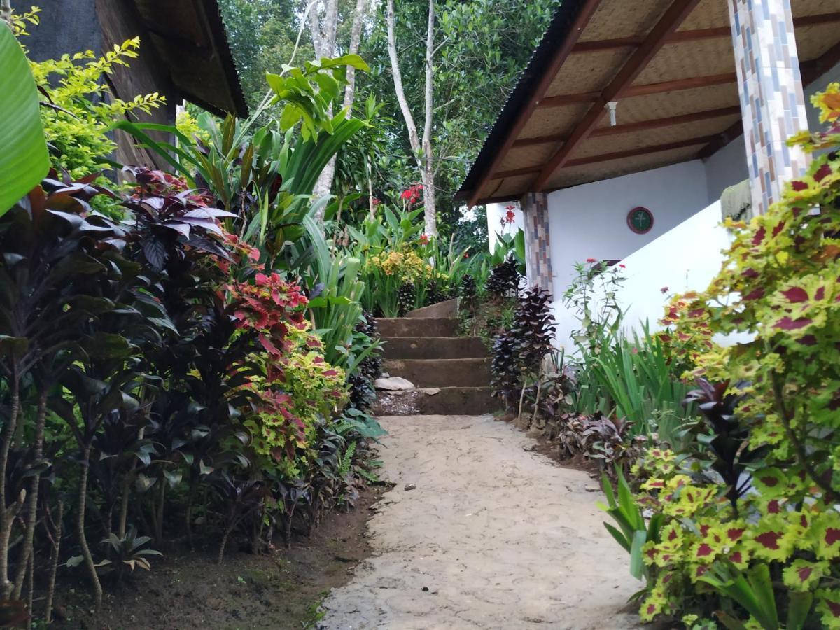 Puri Sunset Homestay Munduk  Exterior photo